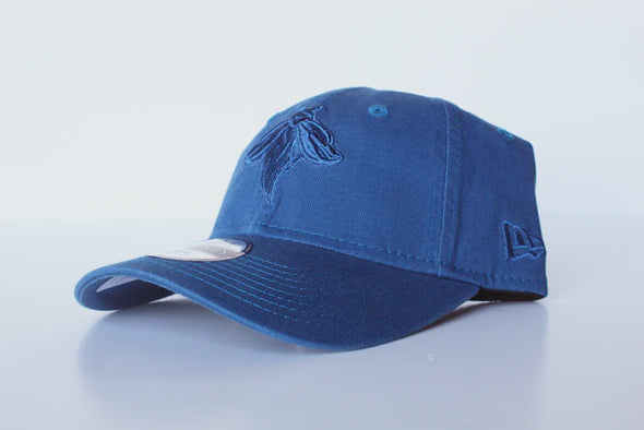 Fireflies Youth All Blue Class Cap