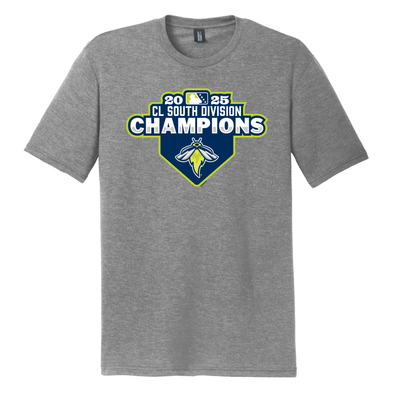 BR Fireflies 2025 CL South Div. Champions Tee